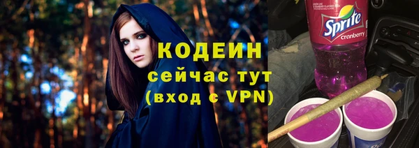 прущий лед Алзамай