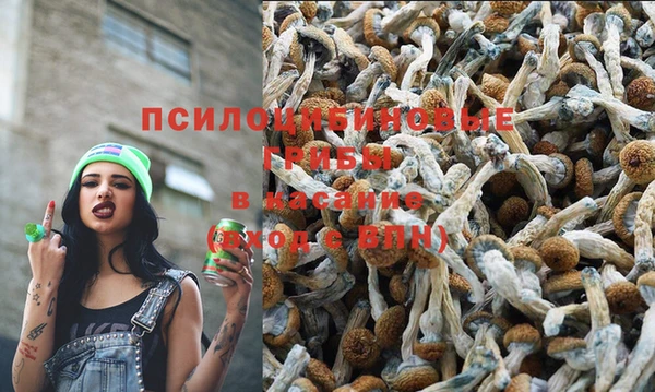 прущий лед Алзамай