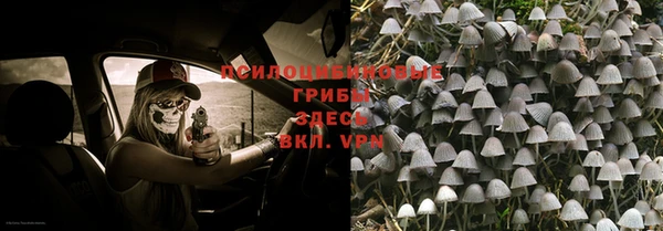 прущий лед Алзамай